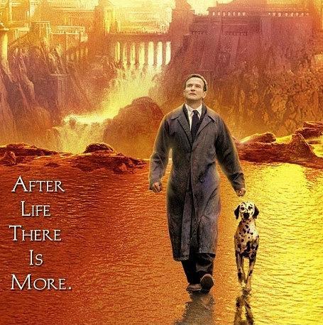 电影人生《美梦成真》