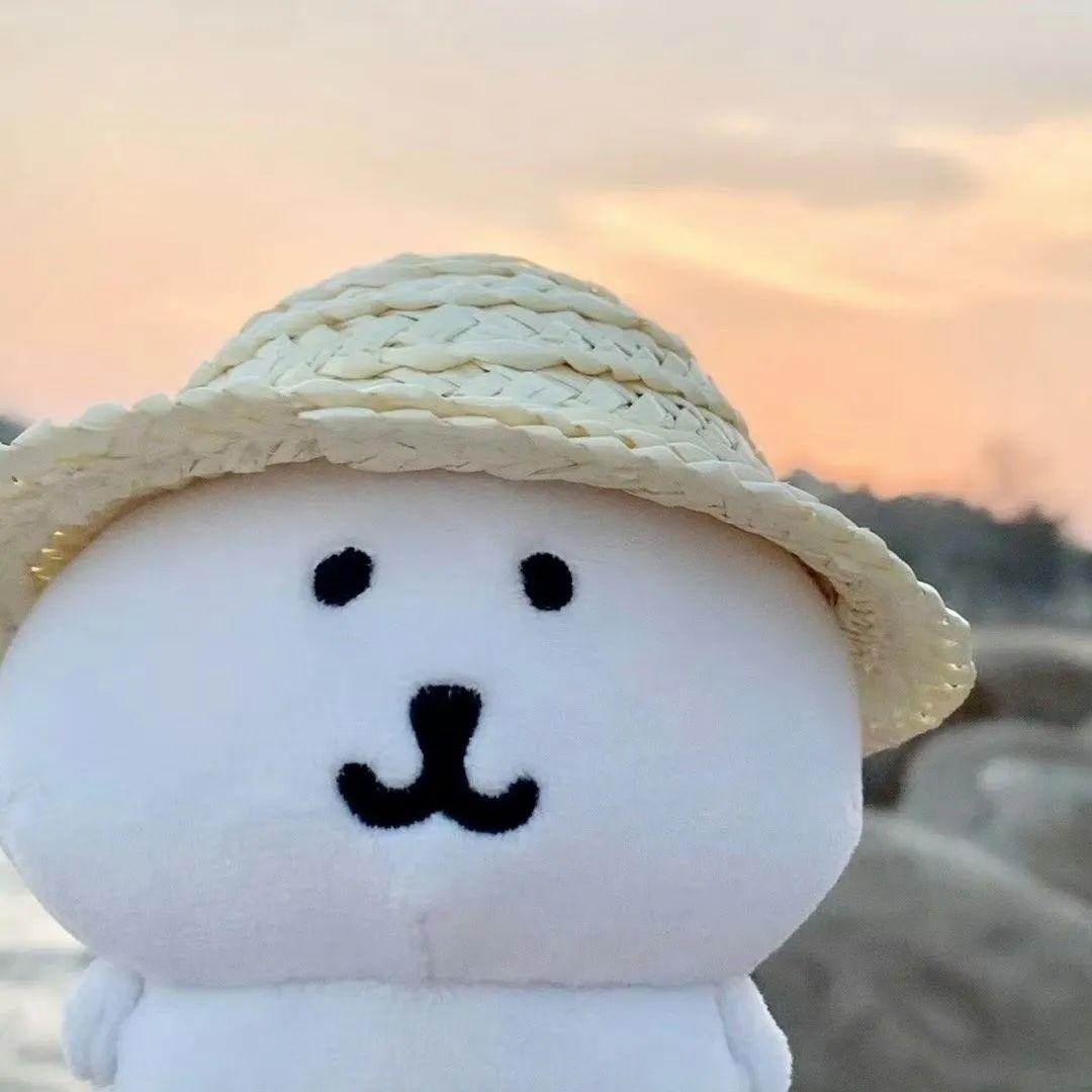 自嘲熊nagano可爱头像 ˶･ᴥ･˶） 知乎 