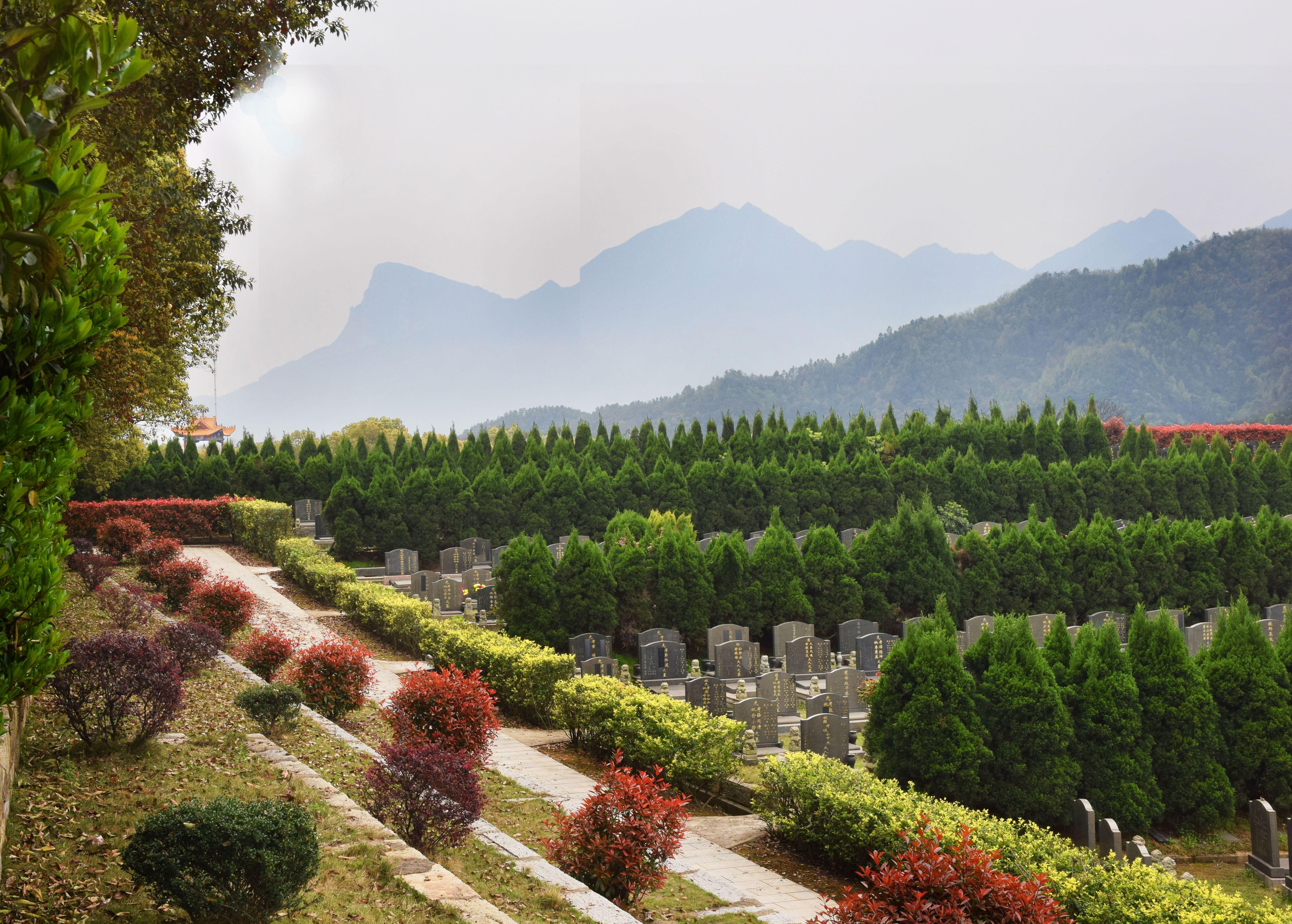 殡葬的发展原因