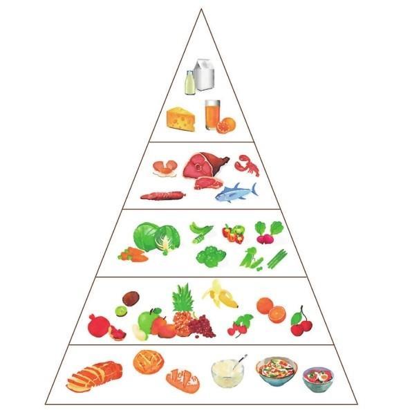 营养金字塔