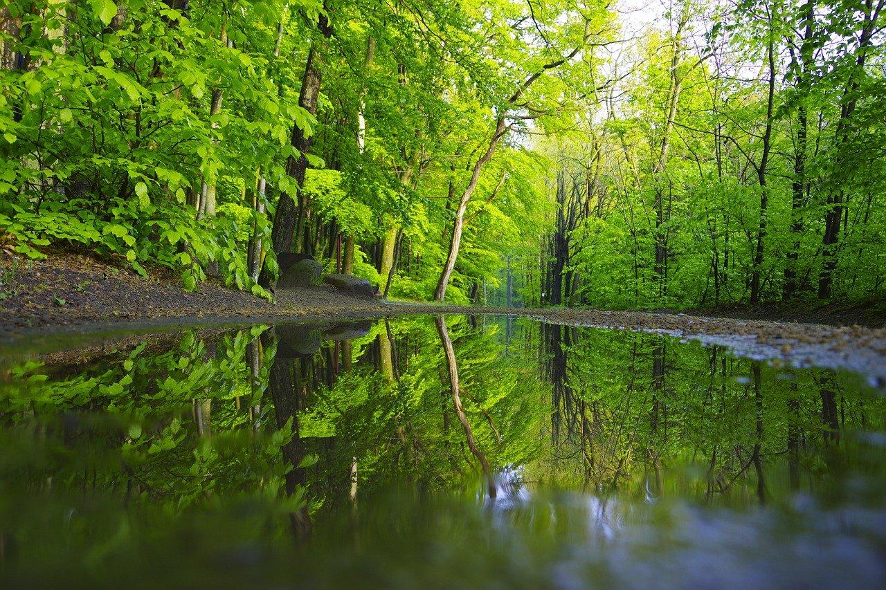 4. 拂林园街道概况