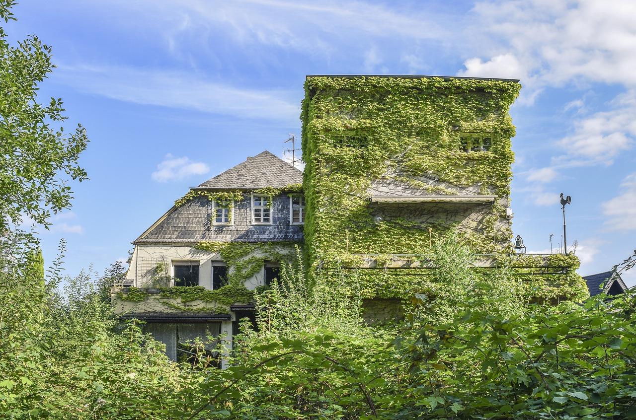 4. 低成本装修技巧