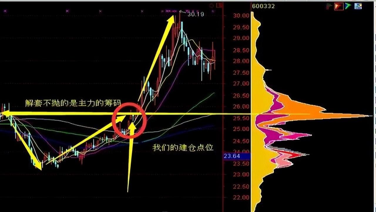 股市中的筹码怎么理解(股市里的筹码分布图说明)