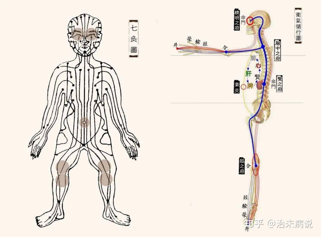 中医里的「气」有几种?营气、卫气、阳气、元气、精气、正气、先天之气等等,如何系统的分类? - 知乎