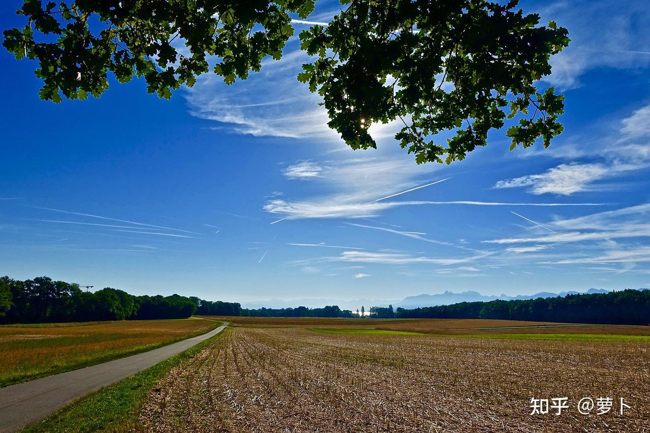 那些人间值得的文案- 知乎
