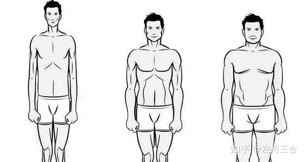 骨架小的男生怎么增肥