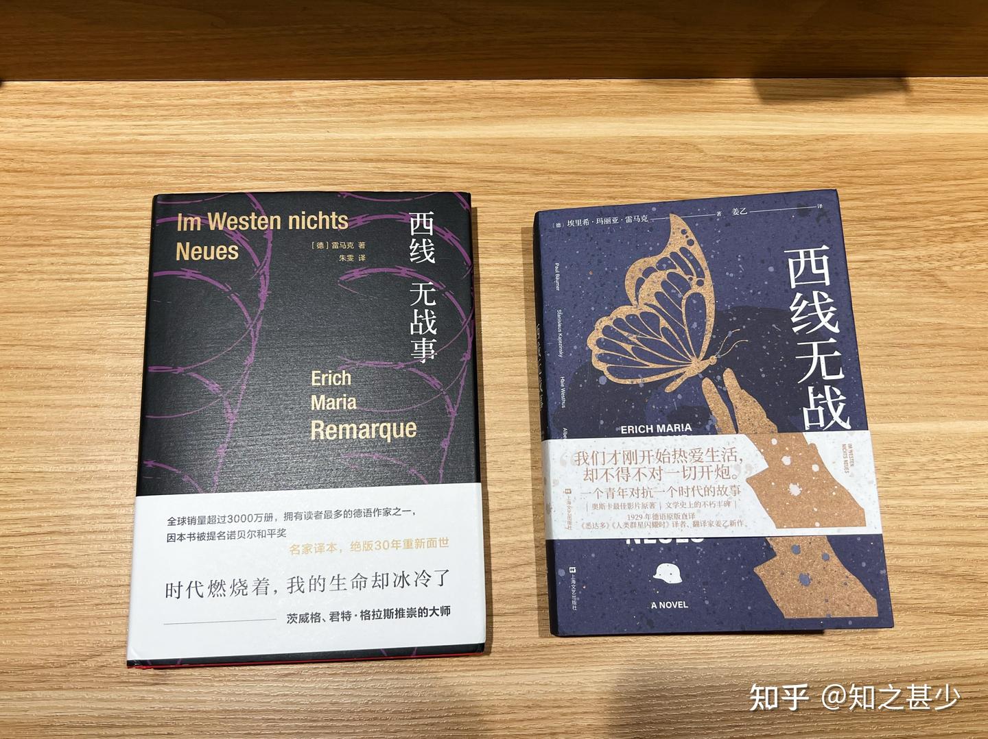 朱雯 西线无战事（姜乙、朱雯译本） - 知乎