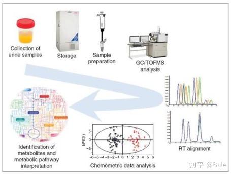 一文读懂代谢组学+机器学习（课程笔记分享） - 知乎