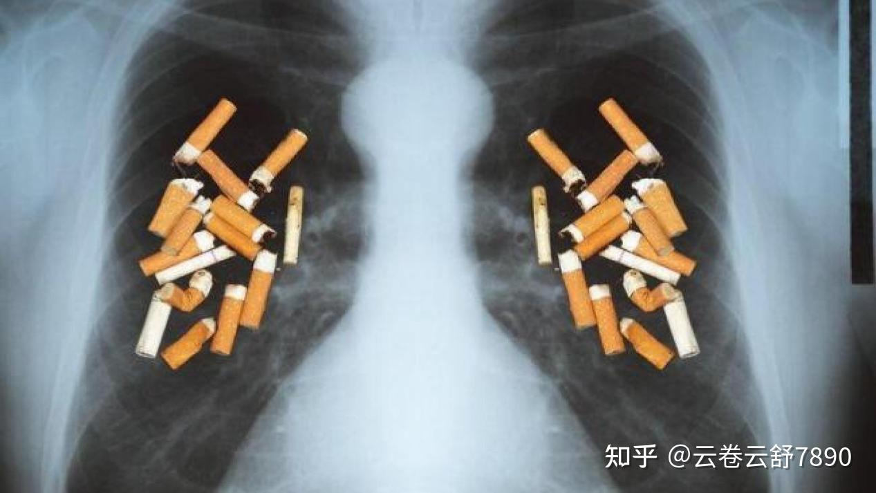 除二手烟空气净化器哪个品牌好用?只选对的不选贵的,除二手烟实力派真实横评。除二手烟空气净化器推荐2026:除二手烟空气净化器测评拾梧|霍尼韦尔|美的等主流款核心性能,新手快速选购清单为你分享
