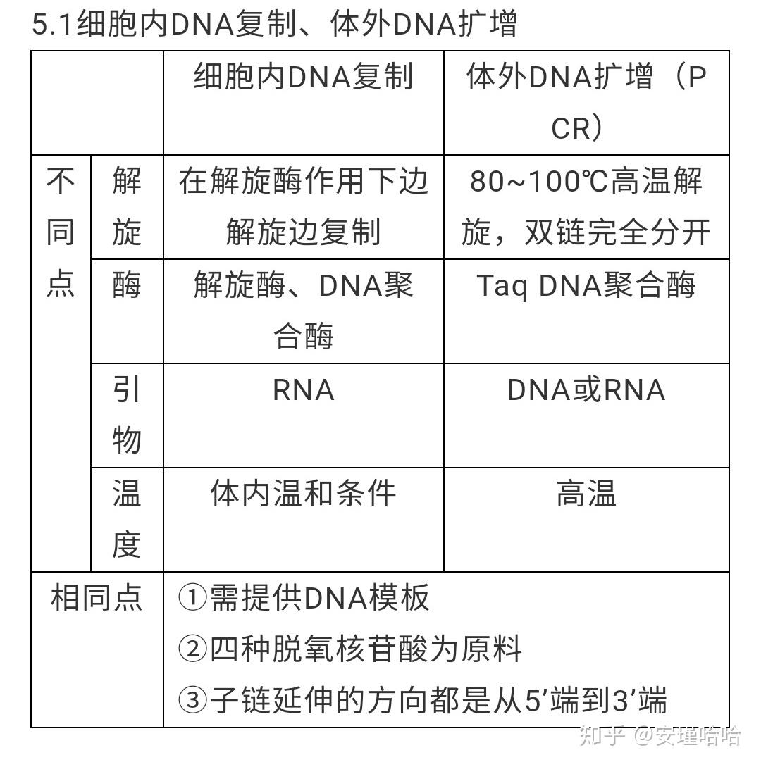 pcr是什么意思图片