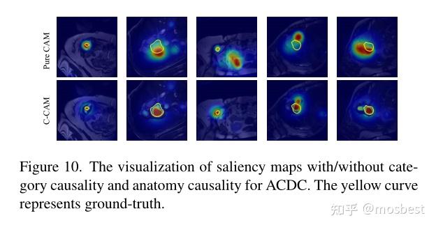 CVPR: C-CAM: Causal CAM for Weakly Supervised Semantic Segmentation on ...