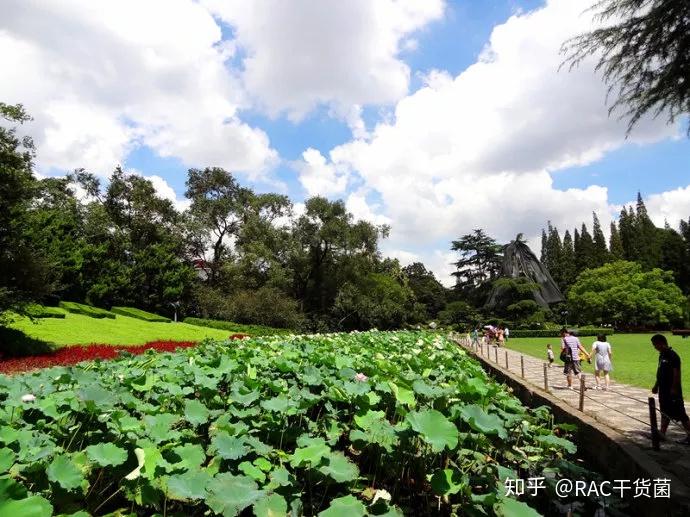 上海有哪些优秀的风景园林设计值得去考察学习