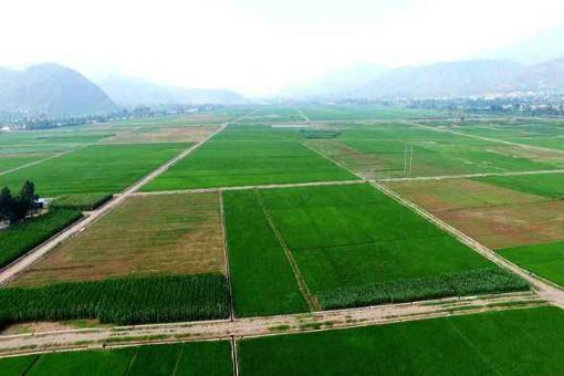 什么是基本农田什么是一般耕地 v2-df2d7fcff536c114cd5ac9ab31aa45e6_1440w.jpg?source=172ae18b