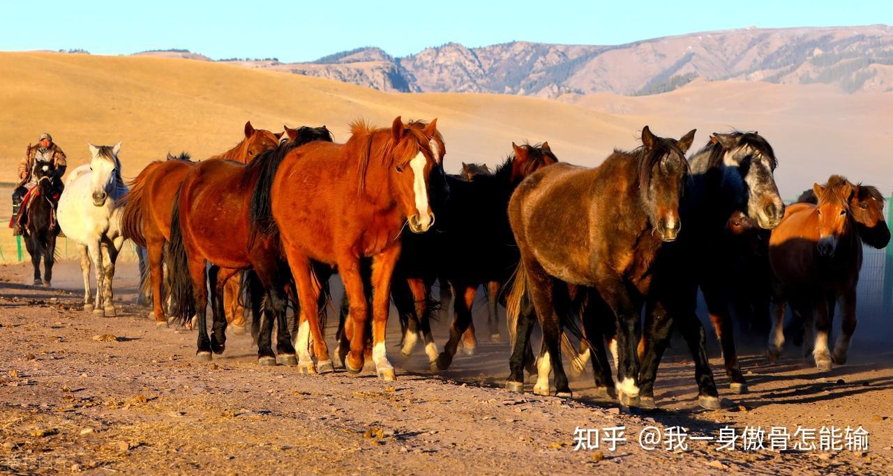 离散数学是干啥的？一句话三种理解- 知乎