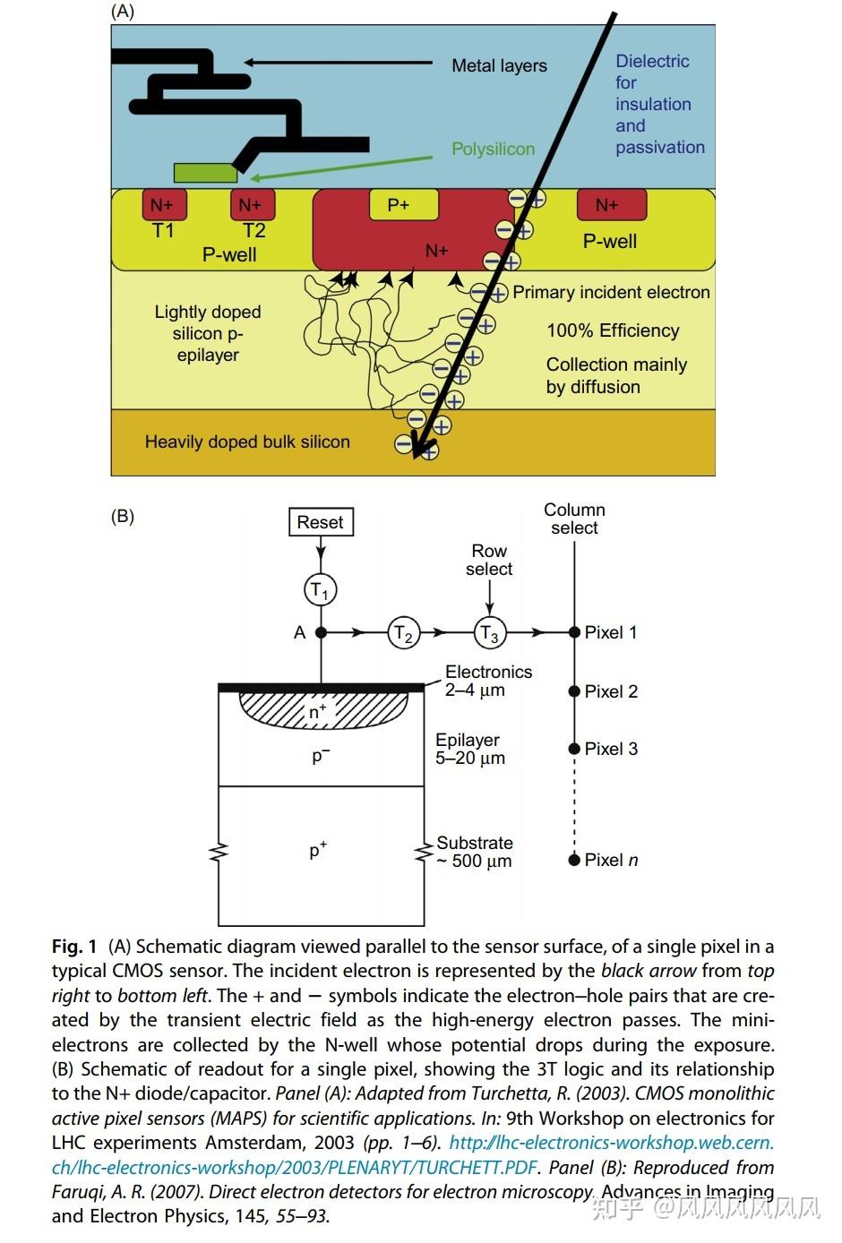 Direct Electron Detectors(Methods in Enzymology, Volume 579) - 知乎
