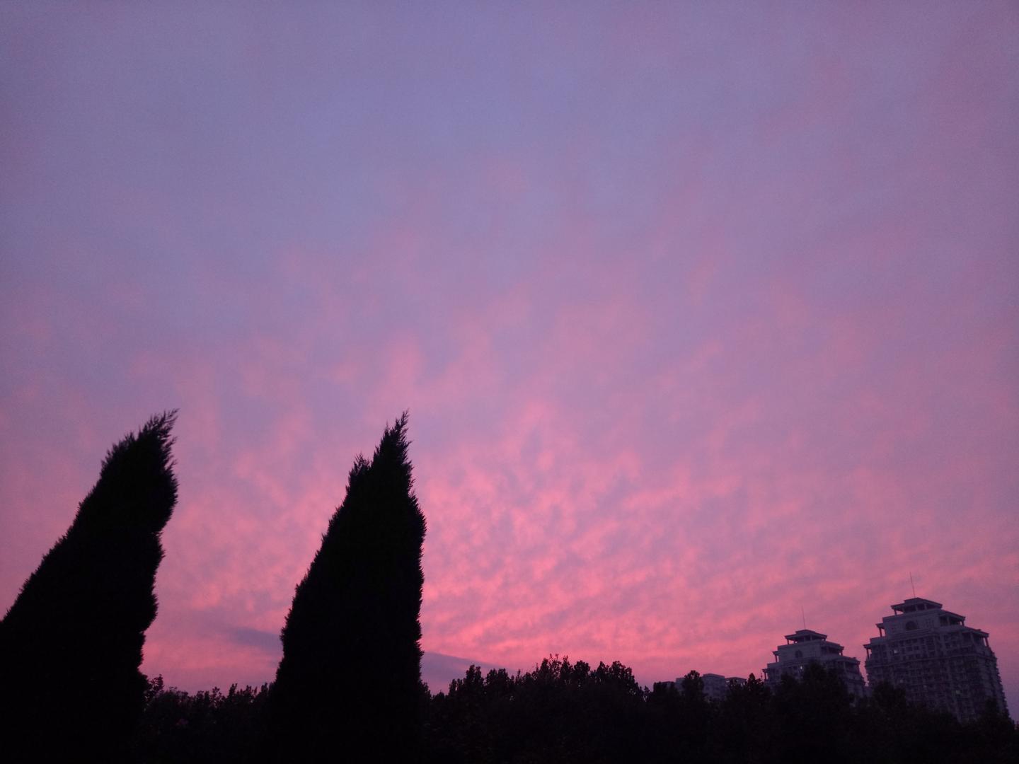 pytorch多gpu并行训练