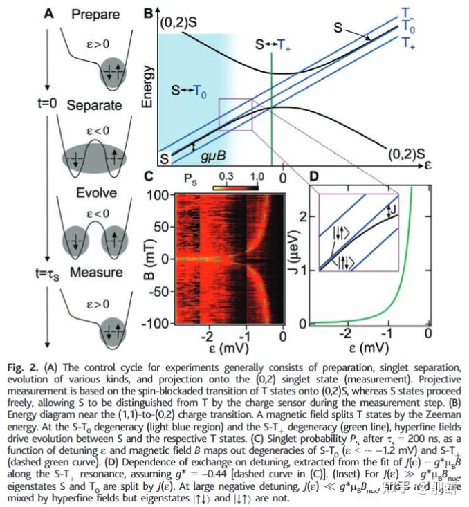 Cherent Manipulation of Coupled Electron Spins in Semiconductor Quantum ...