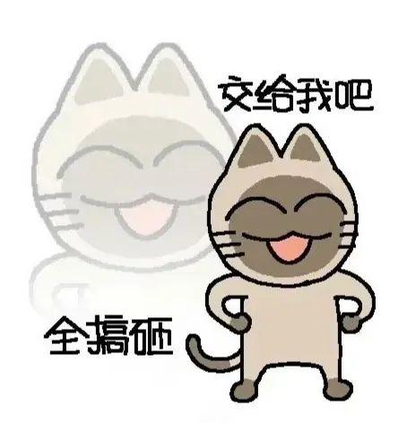 暹罗厘普表情包 - 知乎