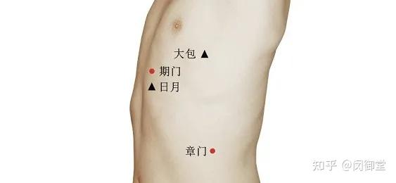 带脉不通,五脏失调!疏通好它,舒肝利胆、消积通便、调节胃肠…… - 知乎