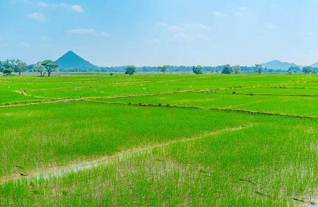 v2-e050a4649dbecff7779d54939aee2026_1440w.jpg?source=172ae18b