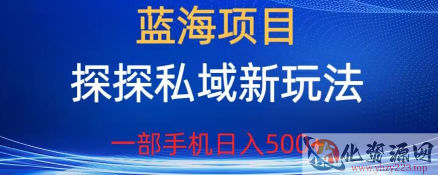 蓝海项目，探探私域新玩法，一部手机日入500+很轻松【揭秘】