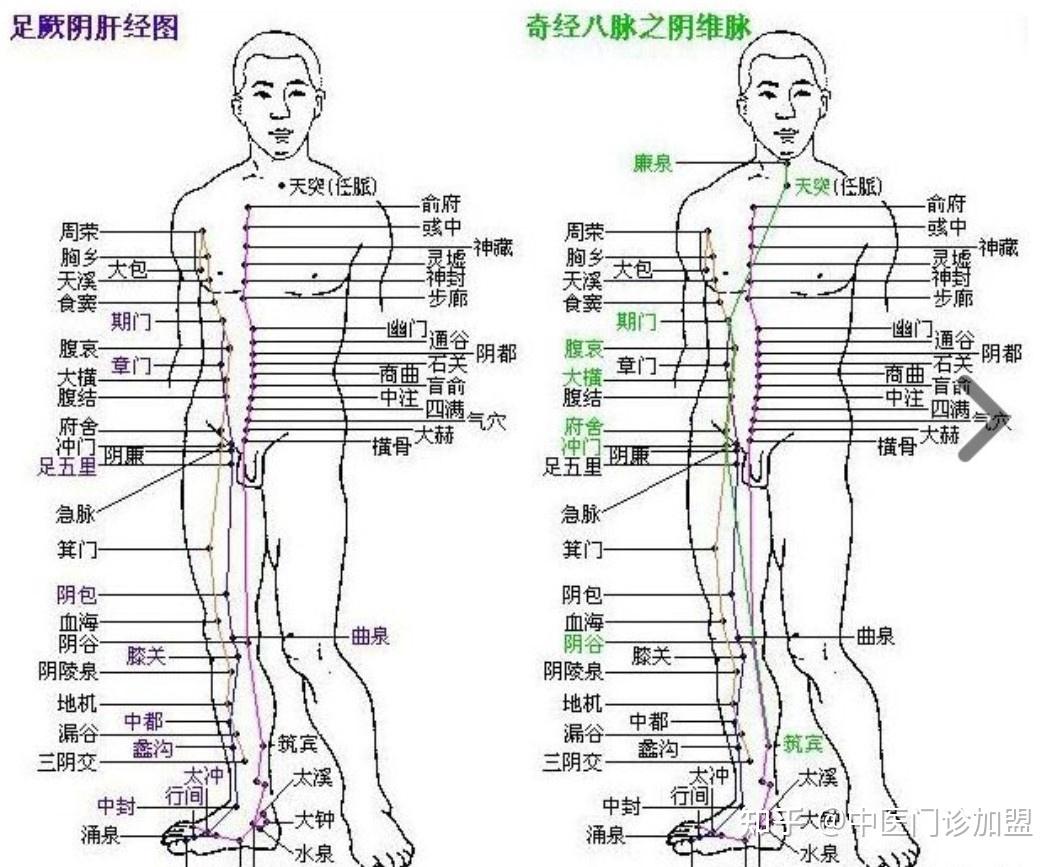 重返先天之小周天针法 - 知乎