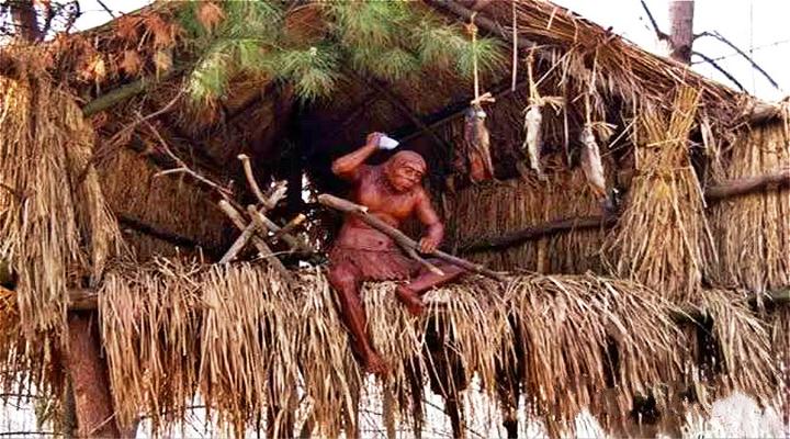 树上的巢屋,地上的高楼,不同的住处,不同的生存危机 知乎