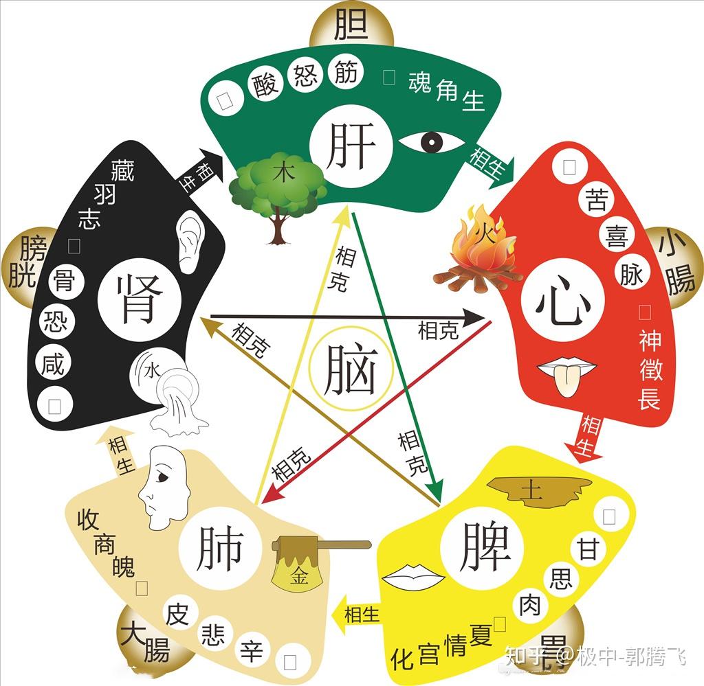 郭极中:如何理解五行中“相乘”和“相侮”? - 知乎