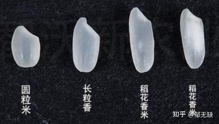 五常米推荐,如何买到正宗的五常大米? - 知乎
