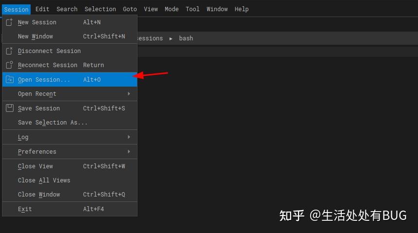 Windterm-SSH/Sftp/Shell/Telnet/Serial 客户端 - 知乎
