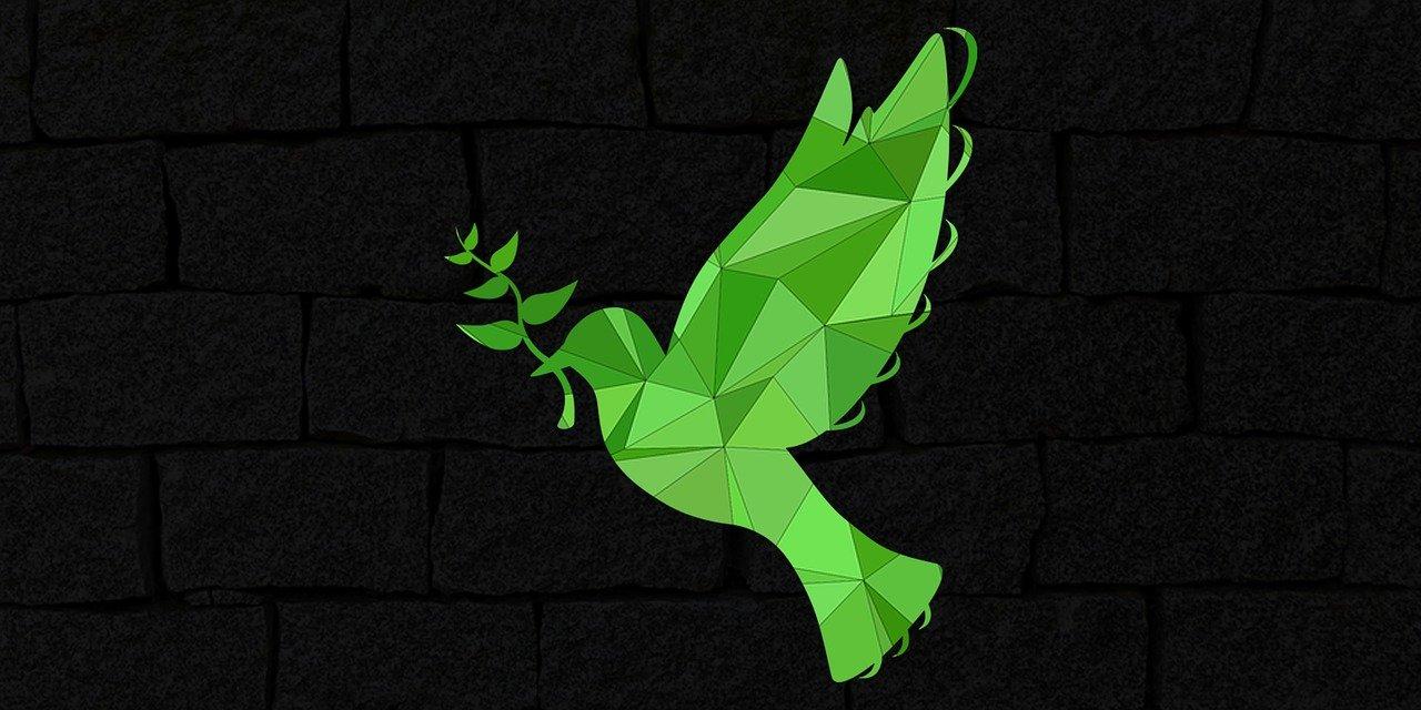 4. 专业疏通服务