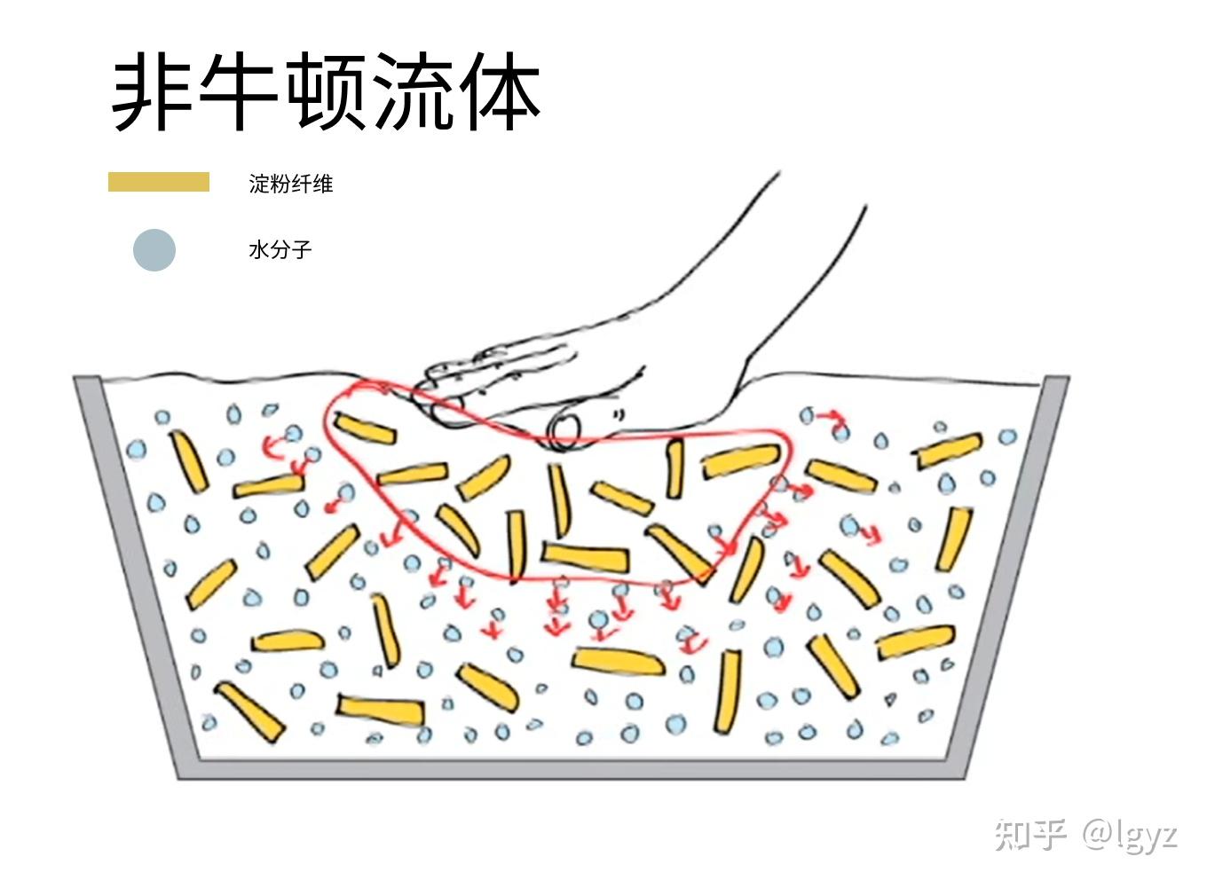 如果用子弹射击如同淀粉和水混合而成的非牛顿流体会将其击穿吗