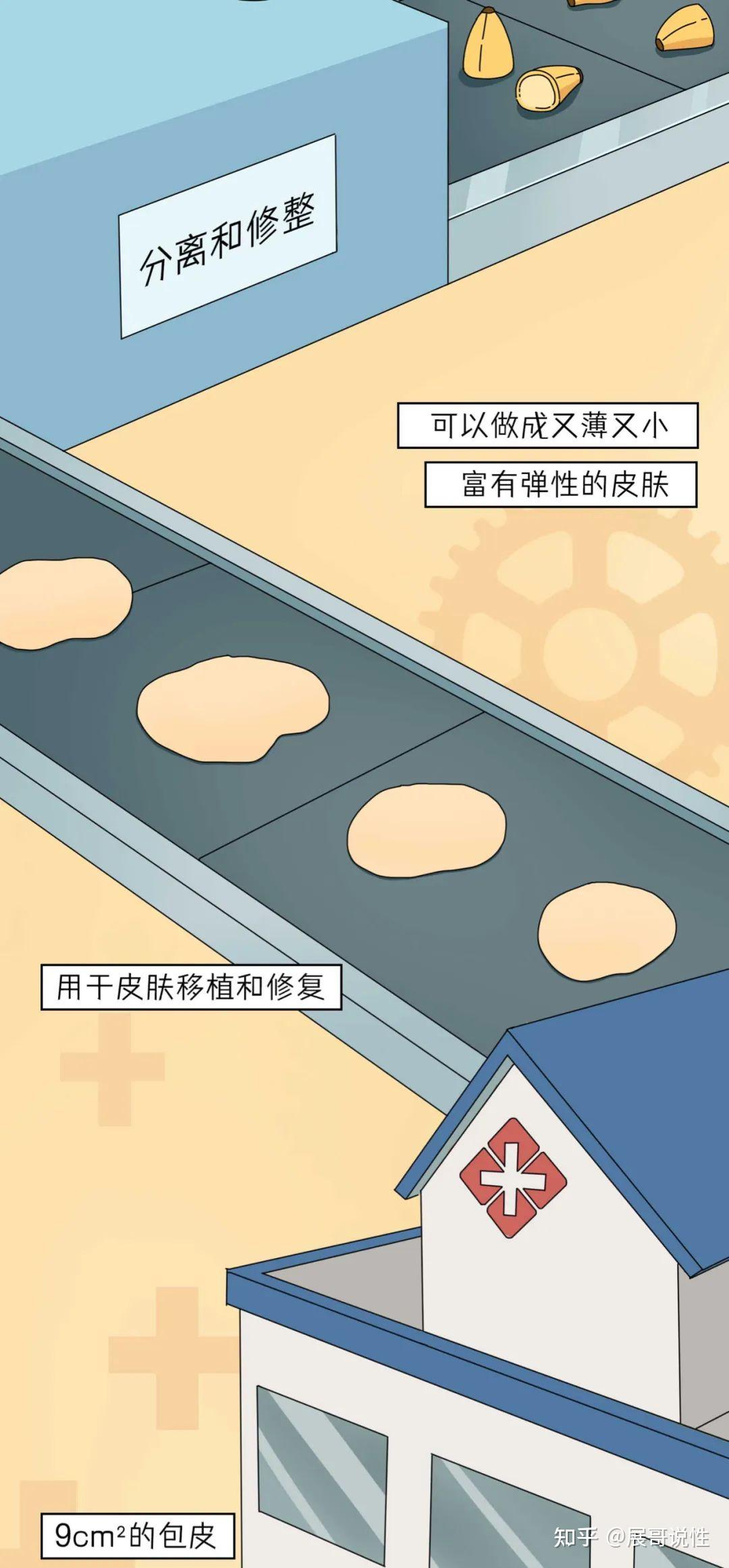 男孩子被割掉的包皮,都送去哪里了? - 知乎