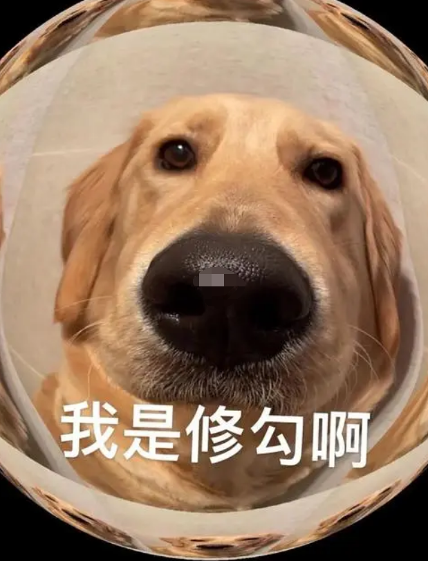 网络用语修勾儿什么意思? - 知乎