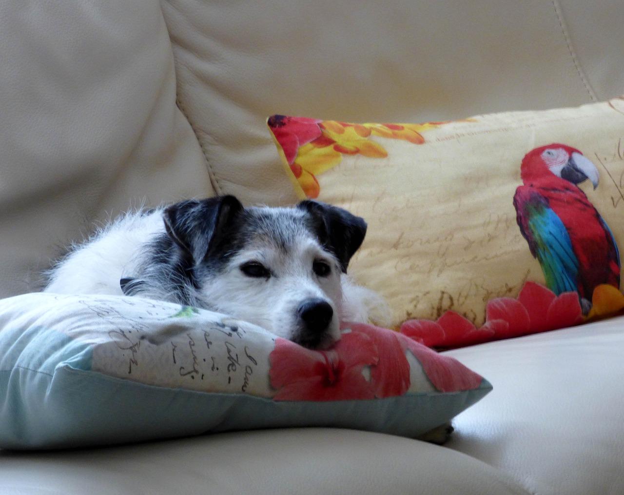 垫层混凝土厚度多少