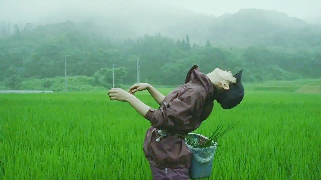 绿加什么变成黄色 v2-e243dde961f438953ff81515edb09173_1440w.jpg?source=172ae18b