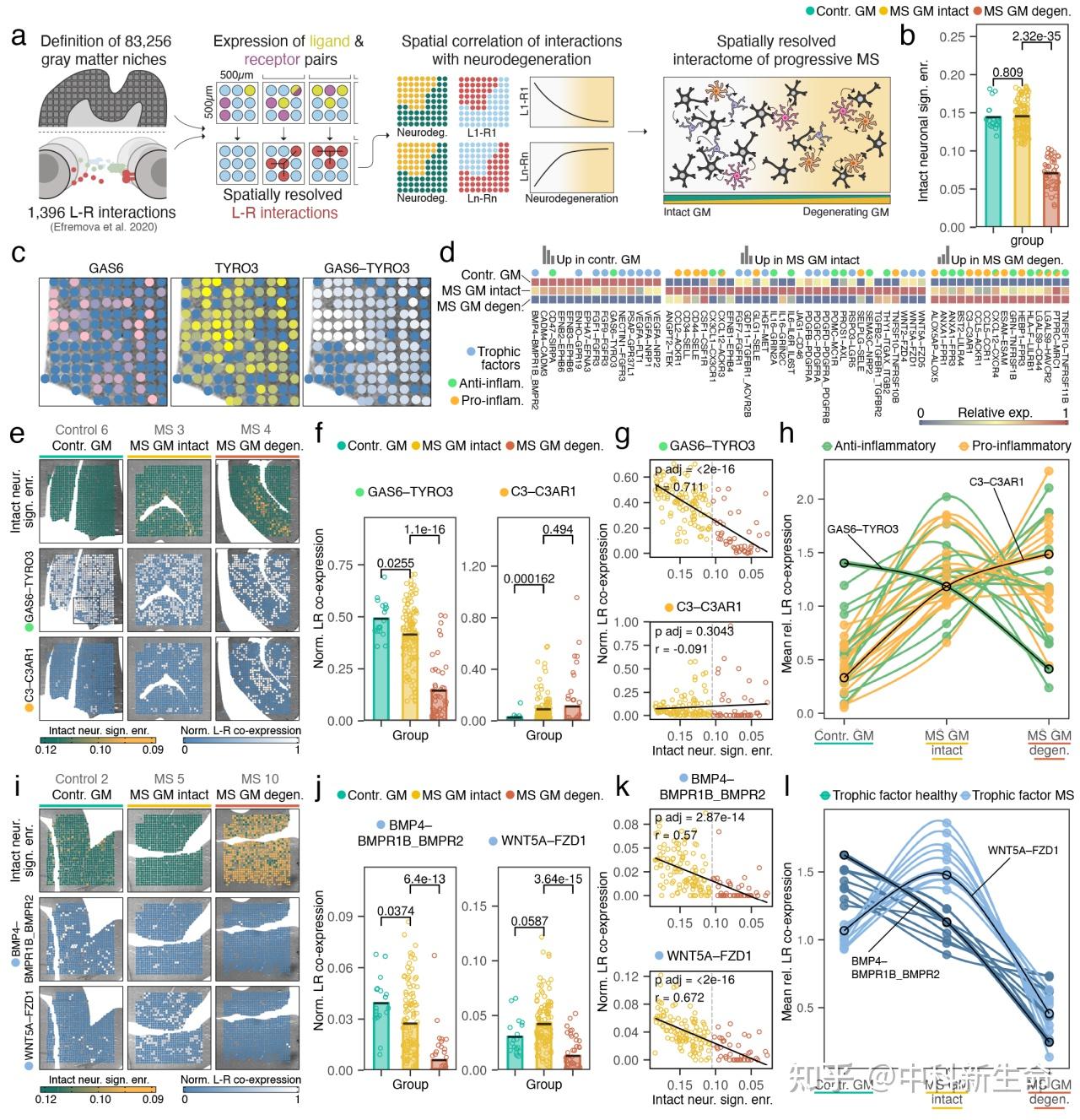 Nature Neuroscience（IF 25.0）| 空间多组学联合发现MS早期神经退行性变通路及治疗靶点 - 知乎