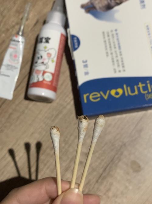 小猫耳朵里面黑黑的是什么东西?猫咪马拉色菌和耳螨分辨的方法 - 知乎