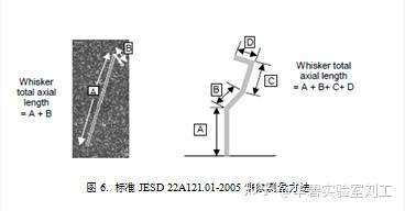 锡须生长介绍与观察 - 知乎