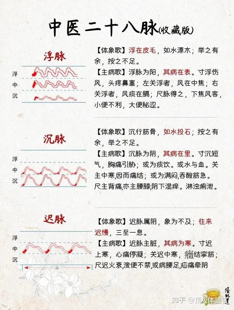 《难经》中的诊脉方法之“独取寸口” - 知乎