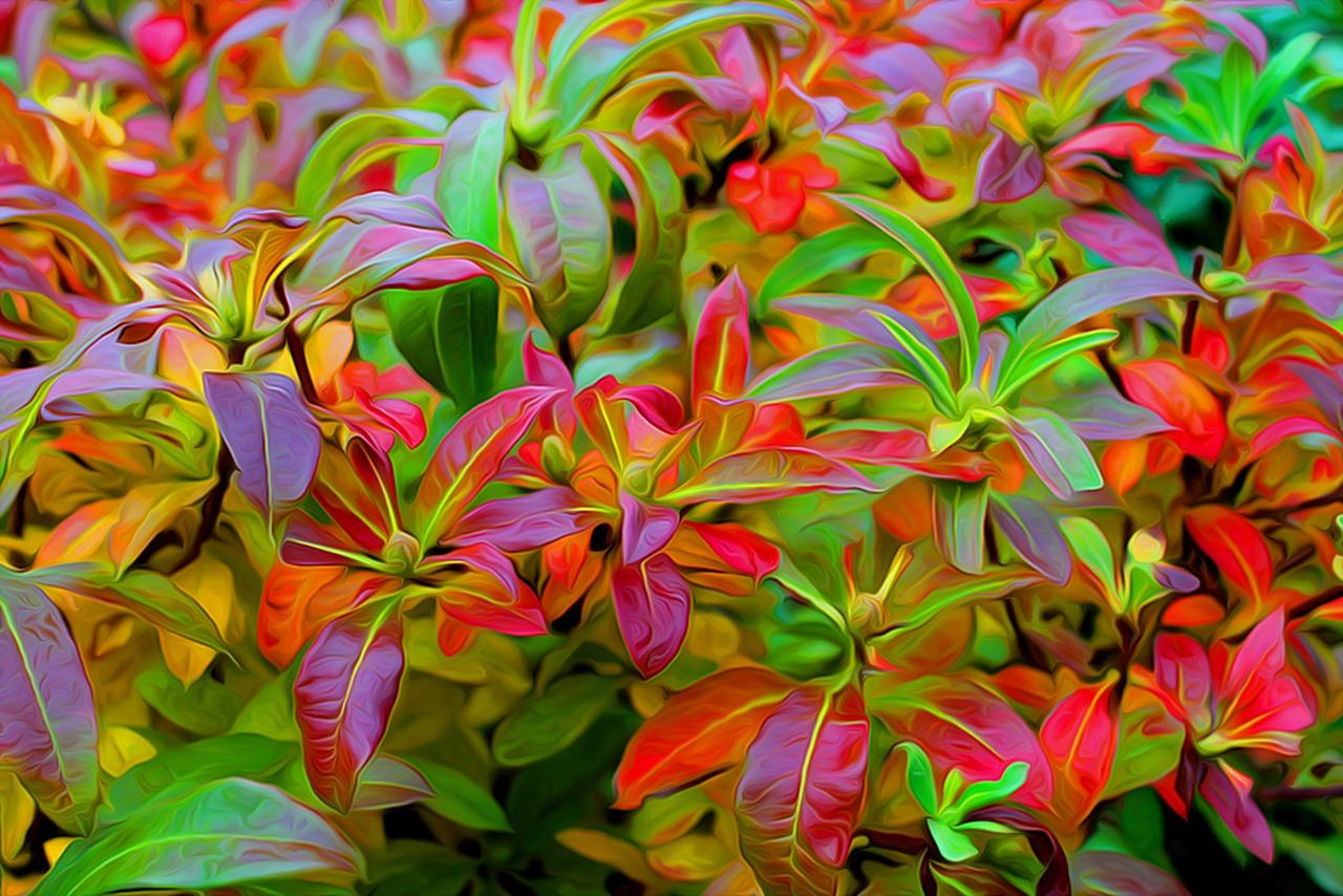 3. 深蓝气候现象