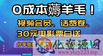 0成本薅羊毛!视频会员、话费卷、30元电影票白送，分享我如何靠转卖一天变现5张+【揭秘】