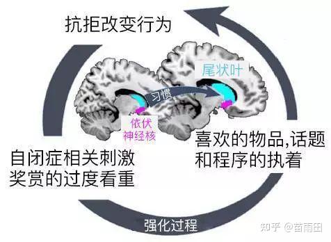 刻板行为竟是孩子社交无能的原因？ - 知乎
