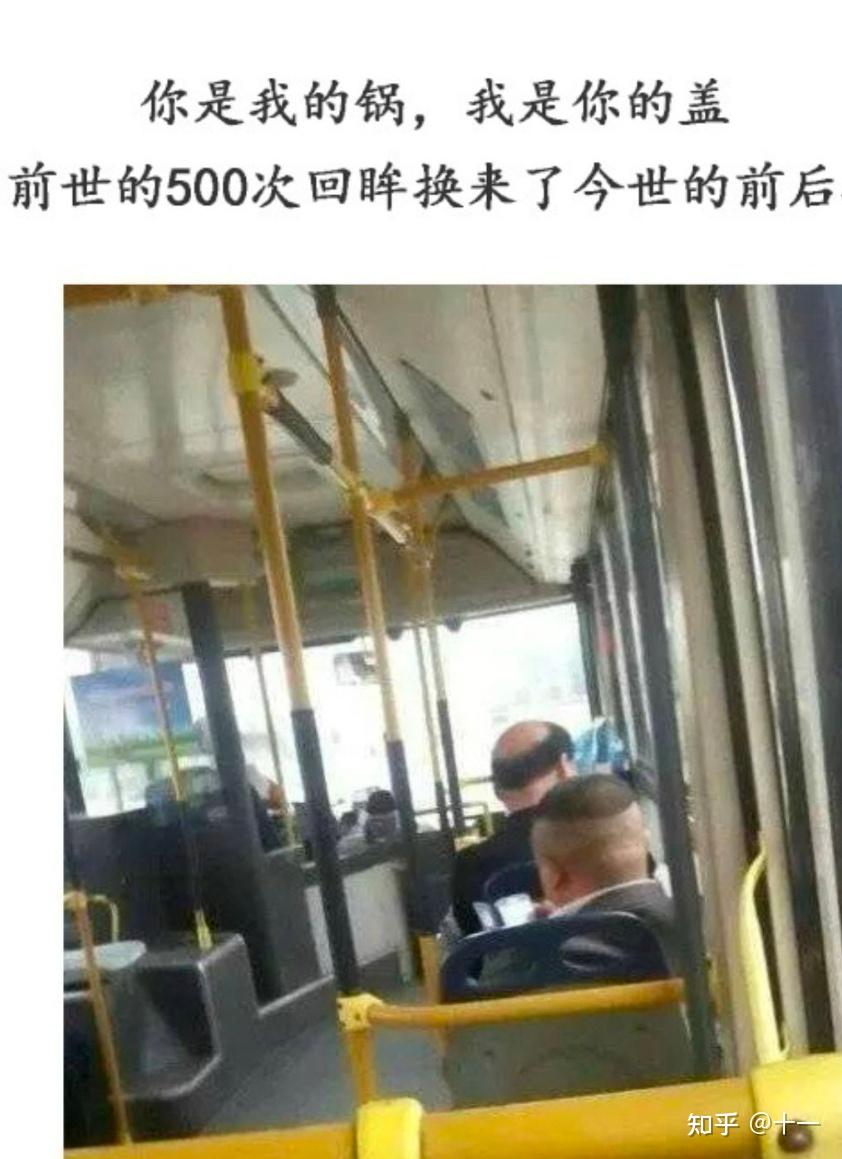 那些超级搞笑的图片 - 知乎