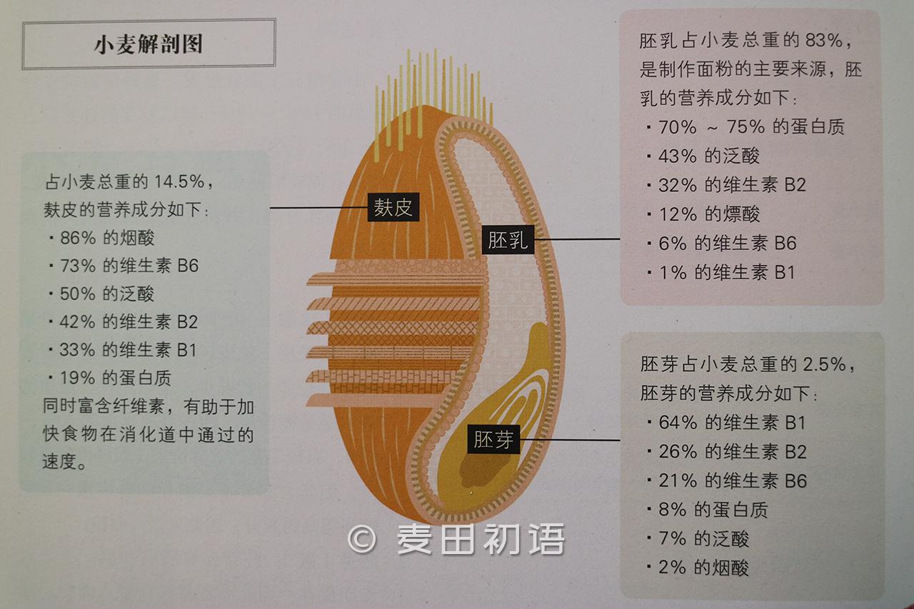从小麦到面包,烘焙人都应该掌握的面粉干货知识 - 知乎