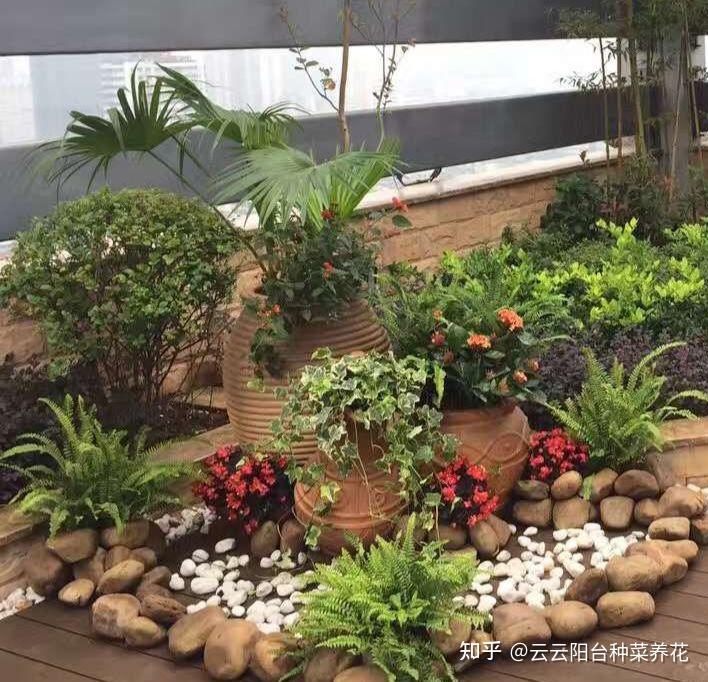 室内养花怎么摆比较漂亮,教你如何做成花镜的方式 - 知乎