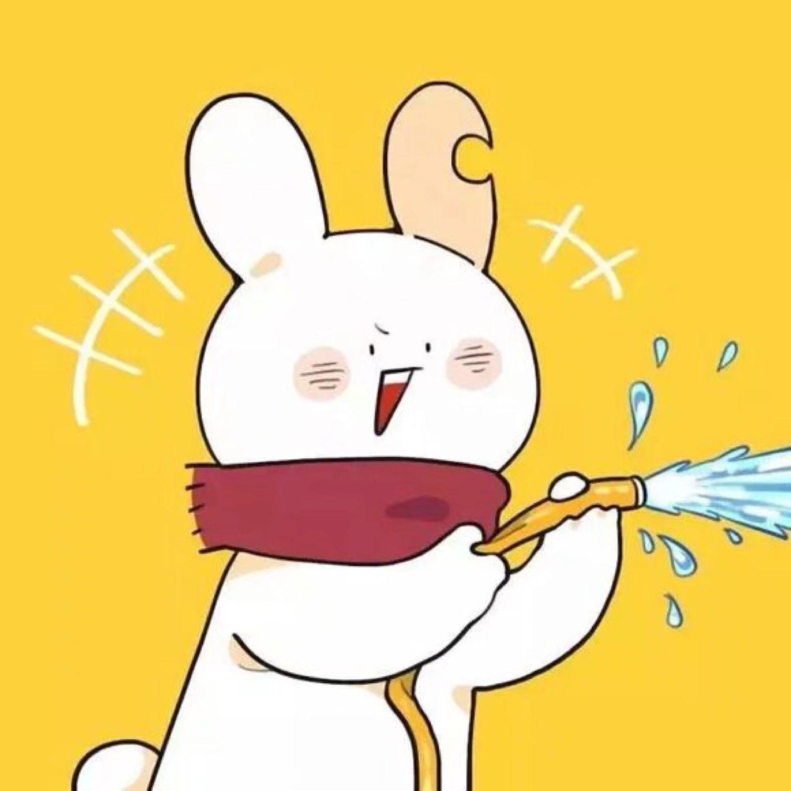 这个被泼水的鸭子头像是情侣头像吗?