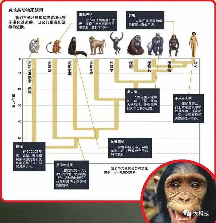 进化还是演化(未写完) - 知乎