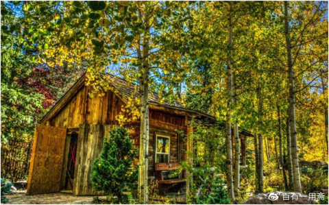 西绪福斯的废纸篓鲍罗庭:死于劳改营里的国共两党幕后操盘手赞同了