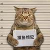 景略